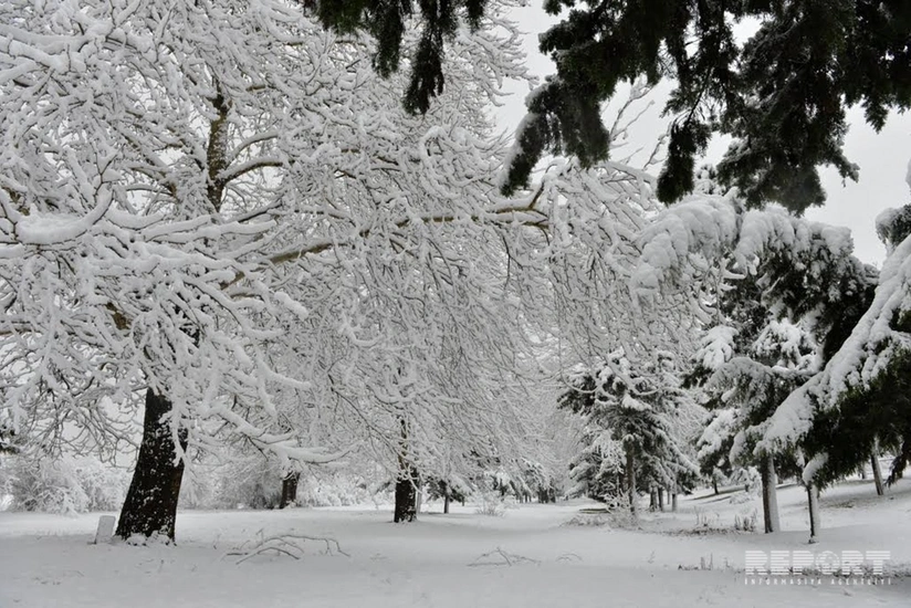 Snow flurry to continue tomorrow in Azerbaijan, frost predicted