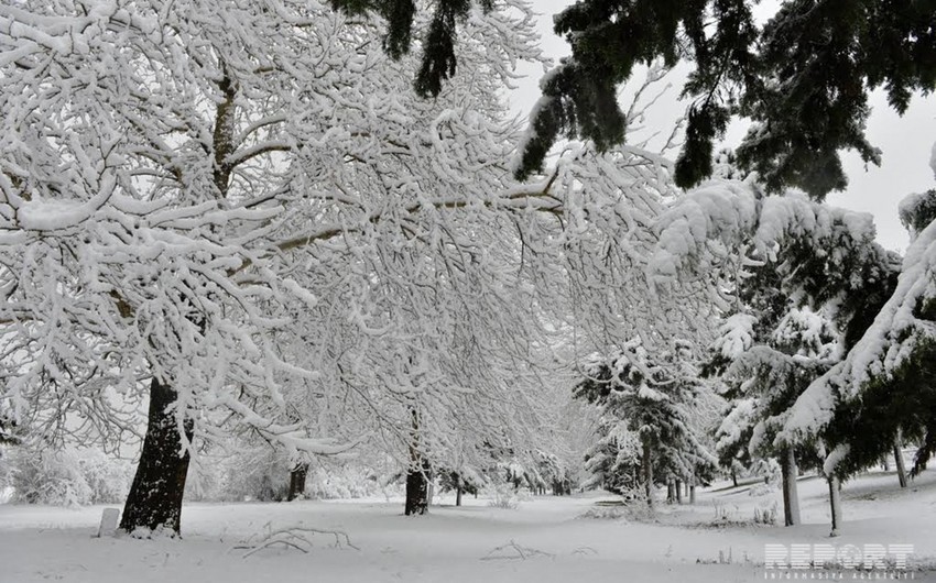 Snow flurry to continue tomorrow in Azerbaijan, frost predicted