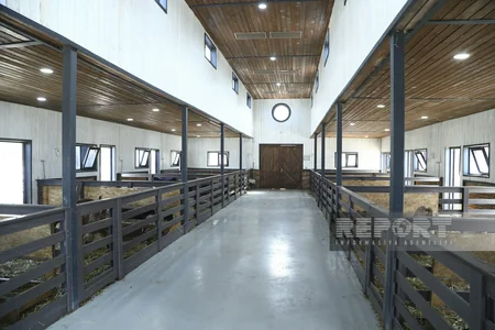 Laçına həyat qayıdır - REPORTAJ