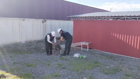 Göygöldə maye qazdoldurma məntəqəsinin fəaliyyəti dayandırılıb