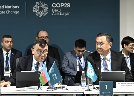 OTS states ink declaration on sidelines of COP29 in Baku