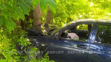 В Огузе автомобиль врезался в дерево, есть пострадавшие