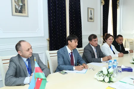 Məzahir Pənahov TDT nümayəndə heyəti ilə görüşüb