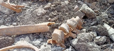 Fərruxda qazıntılar zamanı daha bir neçə azərbaycanlının meyitlərinin qalıqları tapılıb