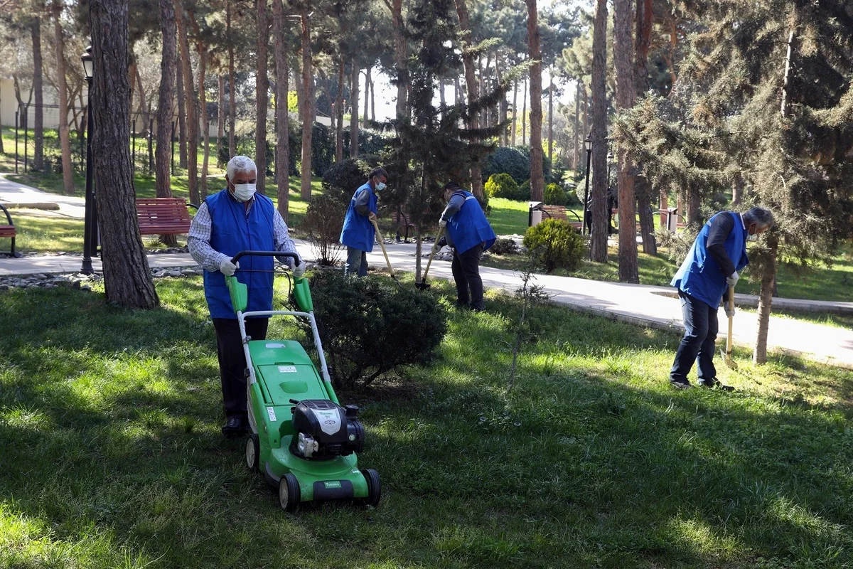 Azərbaycanda ödənişli işlərə cəlb edilənlərin sayı 60 minə çatdı