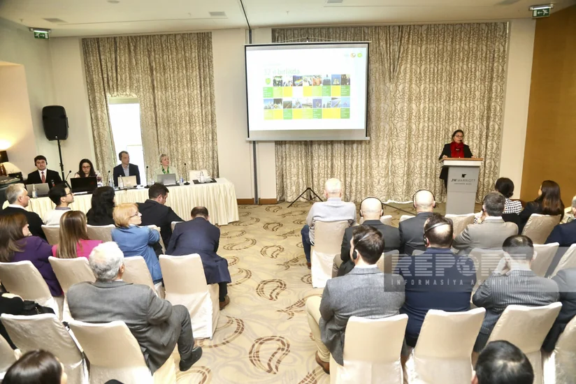 BP Cəbrayılda günəş elektrik stansiyasının tikintisini 2025-ci ilin sonunadək yekunlaşdıracaq