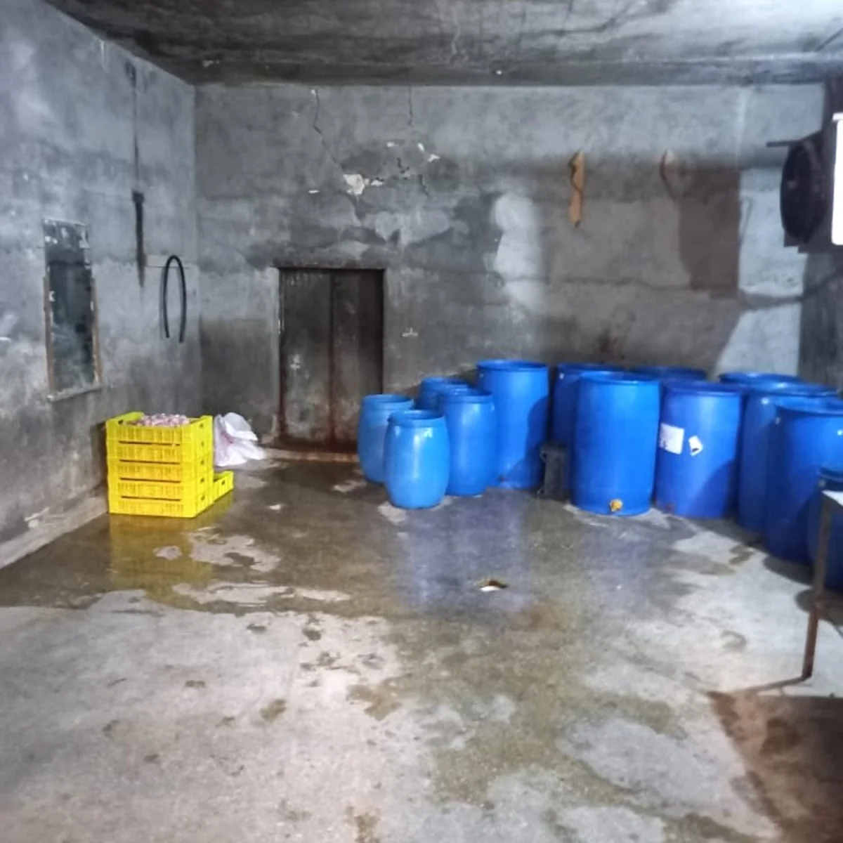 Göygöldə hisə verilmiş balıqların istehsalı müəssisəsində nöqsanlar aşkarlanıb