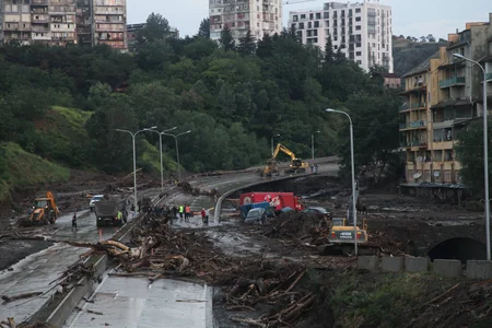 ​Tbilisidə zoopark dağılıb, heyvanlar şəhər küçələrinə axışıb - FOTO