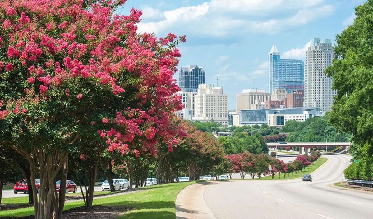 Restoration of Azerbaijan's Independence celebrated in six US cities 