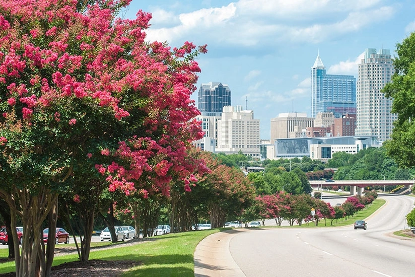 Restoration of Azerbaijan's Independence celebrated in six US cities 