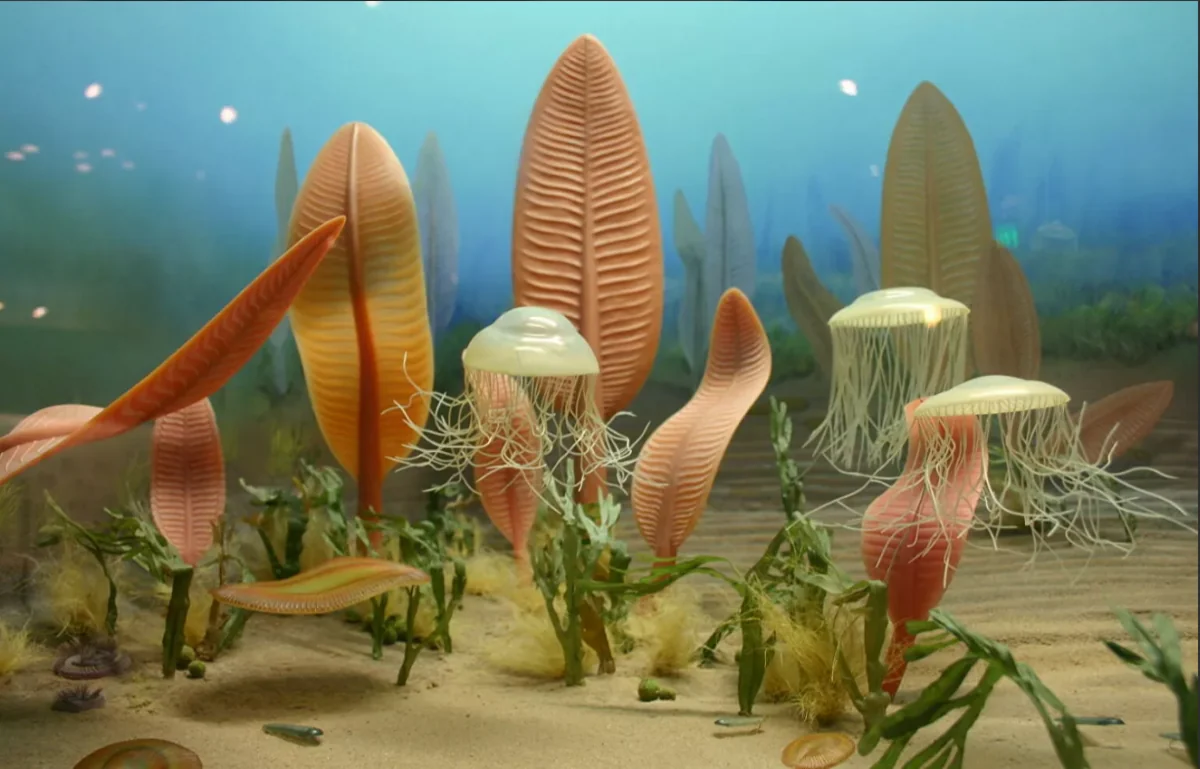 US scientists say humans are similar to Earth's first animals