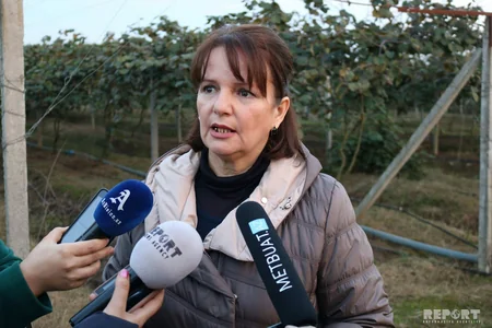 Kənd Təsərrüfatı Nazirliyi Cənub bölgəsinə media-tur təşkil edib - REPORTAJ