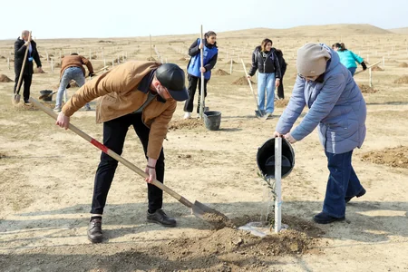 DOST İnklüziv İnkişaf və Yaradıcılıq Mərkəzi ağacəkmə aksiyası keçirib
