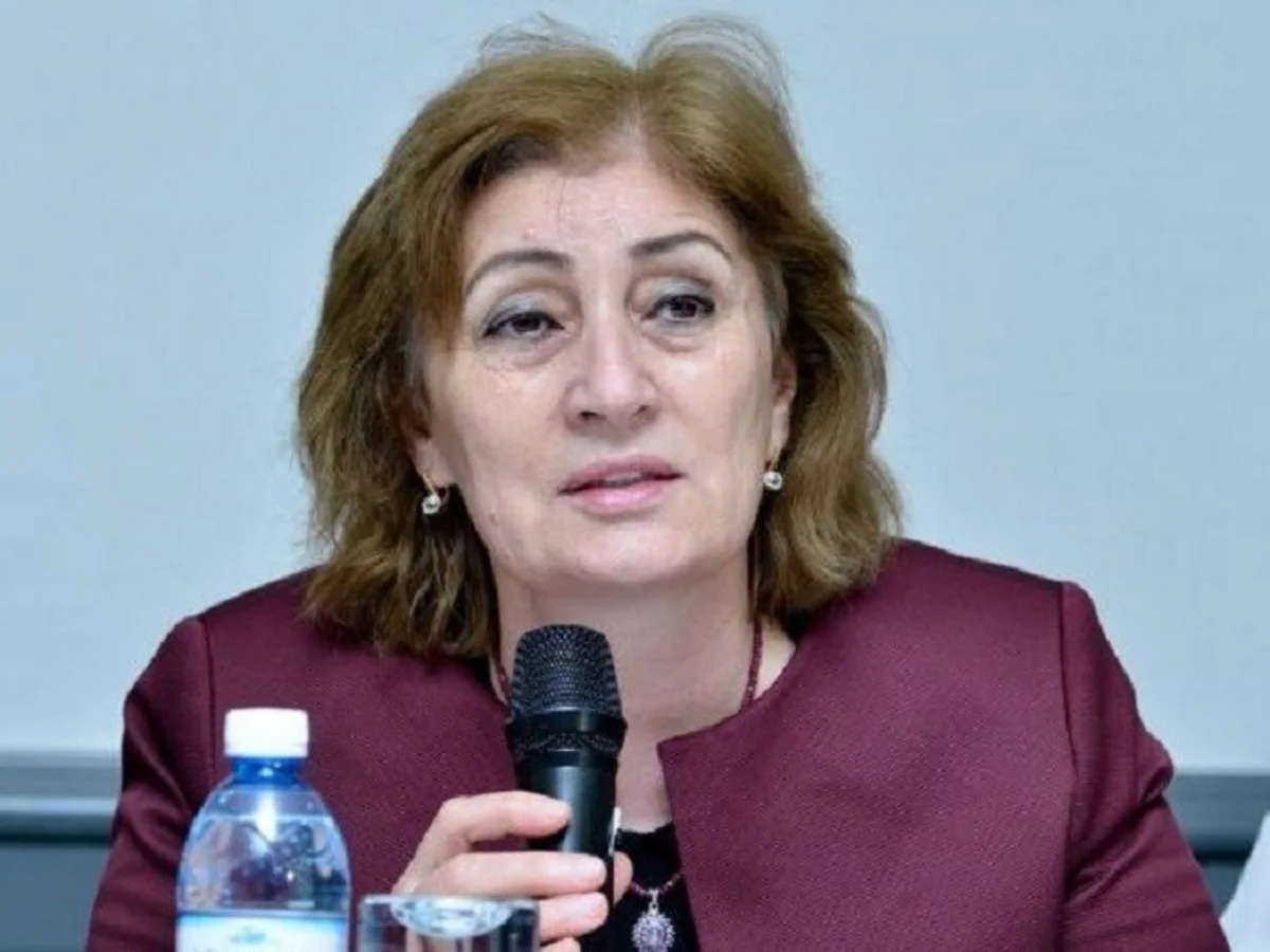 Məlahət İbrahimqızı: Əli İnsanovun səhiyyə sistemi ilə bağlı yanaşması qərəzlidir