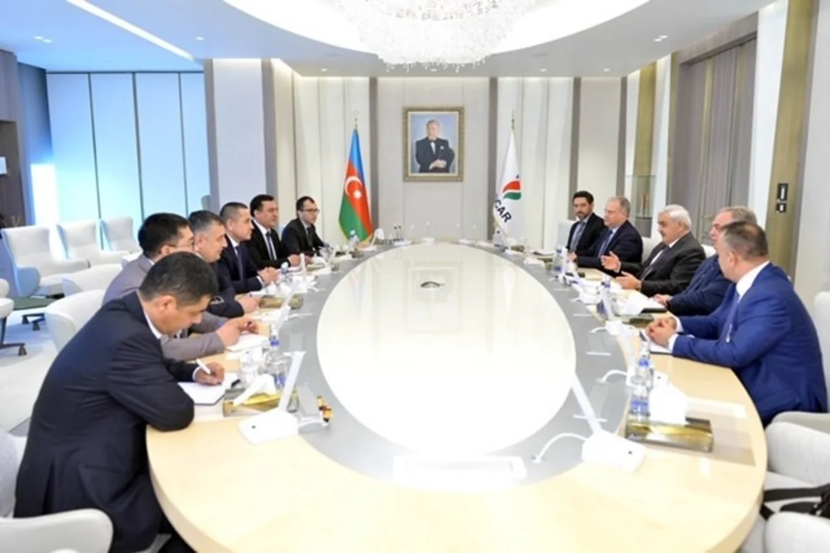SOCAR, McKinsey preparing strategic development plan