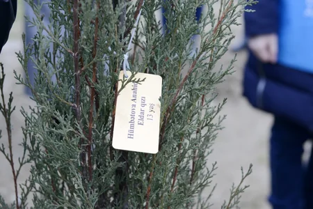 63 trees planted to commemorate 63 children killed in Khojaly genocide