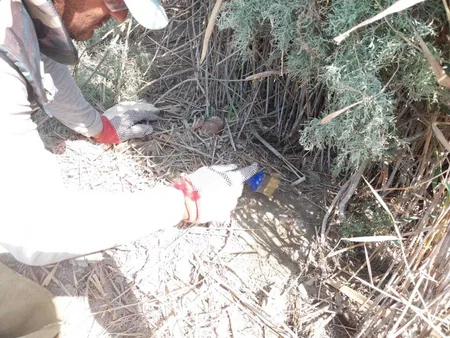 Biləsuvarda 8 ədəd partlamamış hərbi sursat və 1 ədəd avtomat tapılıb