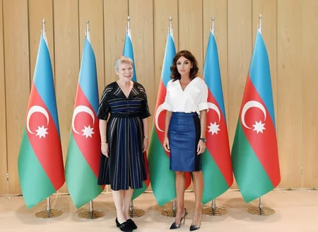 First Vice-President Mehriban Aliyeva meets with delegation led by NATO deputy secretary general