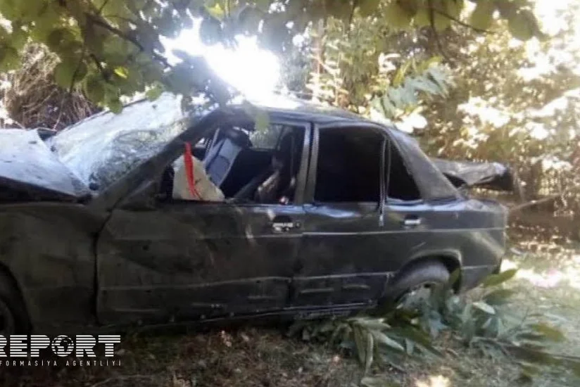В Огузе автомобиль врезался в дерево, пострадали три человека
