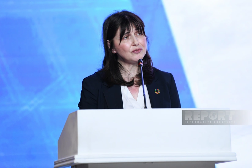 Vladanka Andreeva: Necessary to coordinate efforts to speed up demining in Azerbaijan