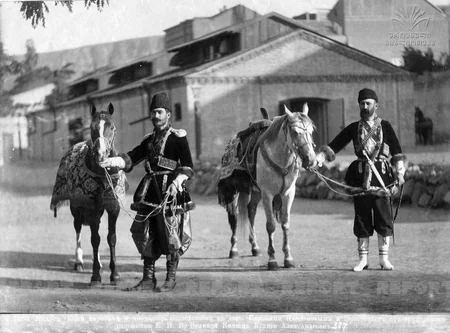 Qarabağ atları və Gürcüstan - ARAŞDIRMA - VİDEO