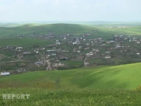 ​Cəlilabadda 50 başdan çox at oğurlanıb - FOTO