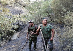 FHN-in qüvvələri Türkiyənin Aydın şəhərinin yaşıllıq zolağındaki yanğını söndürüb
