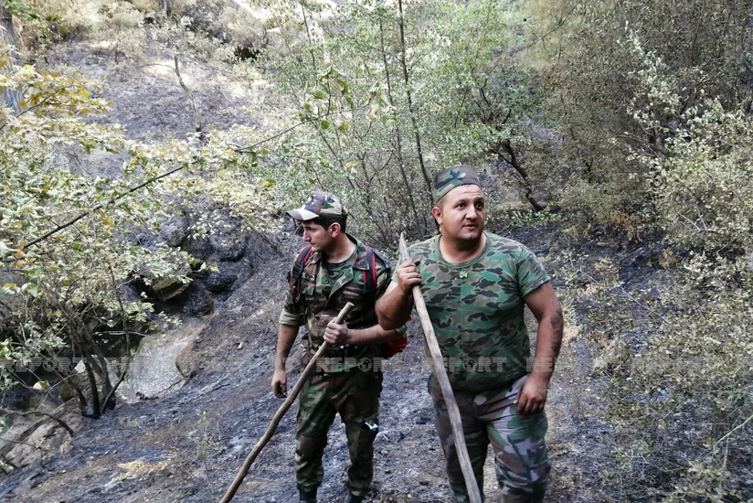 FHN-in qüvvələri Türkiyənin Aydın şəhərinin yaşıllıq zolağındaki yanğını söndürüb