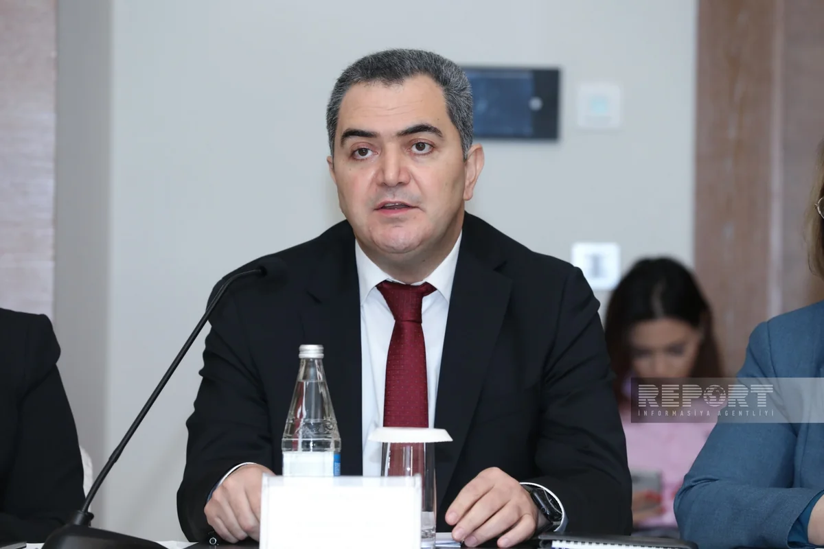 Sənan Hacıyev: Məişət zoraklığına dair faktlar çox olsa da, verilən mühafizə orderlərinin sayı azdır