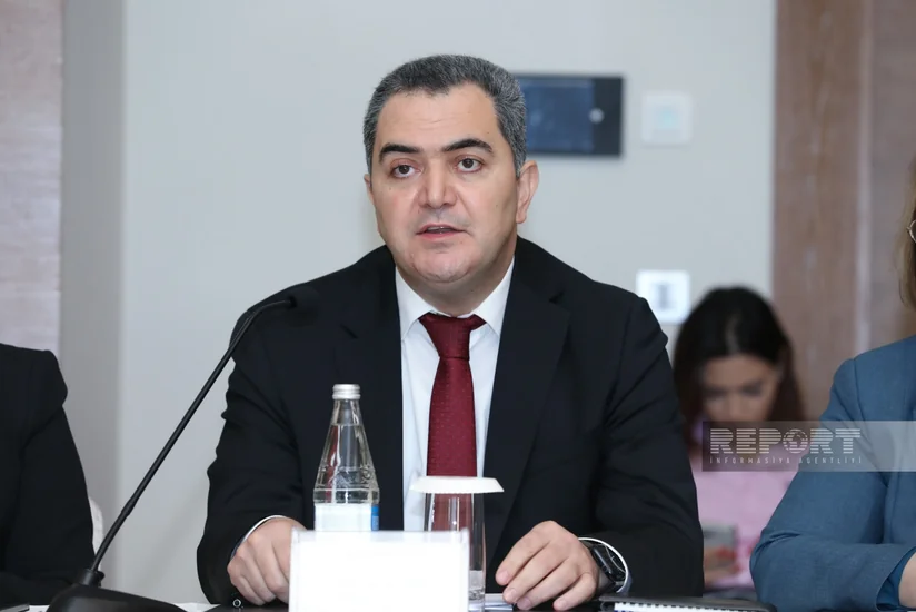 Sənan Hacıyev: Məişət zoraklığına dair faktlar çox olsa da, verilən mühafizə orderlərinin sayı azdır