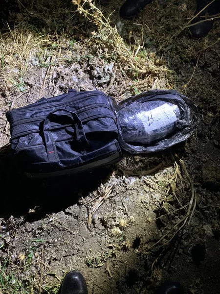 В принадлежащем Бакпорту автомобиле найдены наркотики