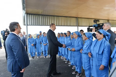 Azərbaycan prezidenti Salyanda pambıq sahələrinə baxıb
