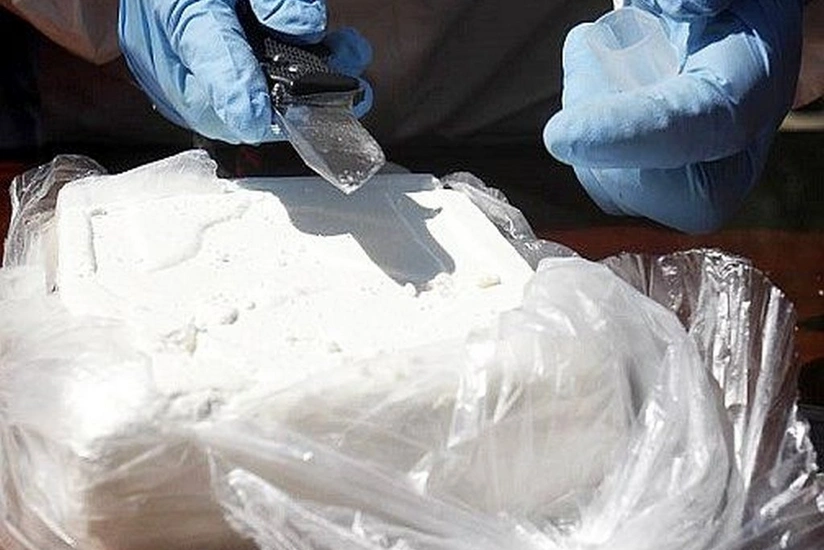 Ecuador army seizes record 22 tons of cocaine