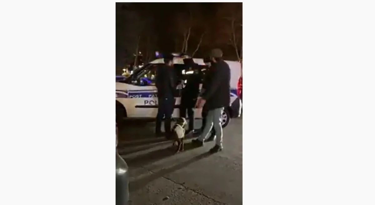 DİN Bakının mərkəzində quzu gəzdirilməsinə münasibət bildirib: “Qadağandır”