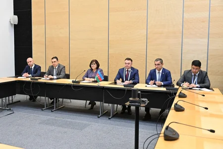 Speaker of National Assembly of Guyana: We attach special importance to co-op with Azerbaijan