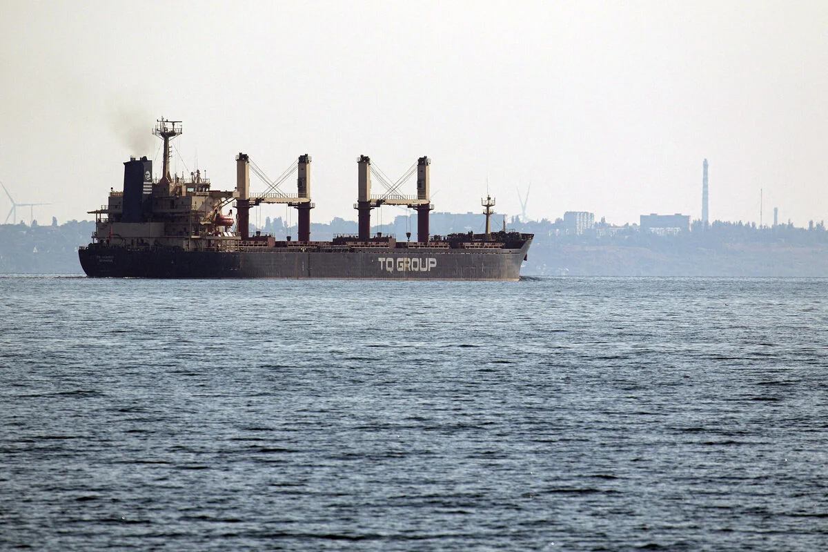 Dry cargo ship TQ Samsun was last to pass through grain corridor in Black Sea