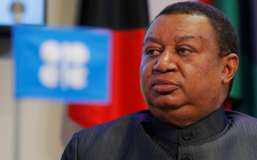 Mohammad Barkindo: Some OPEC+ members don’t fulfill quotas