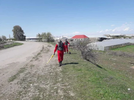 Şəmkirdə əl qumbarası tapılıb