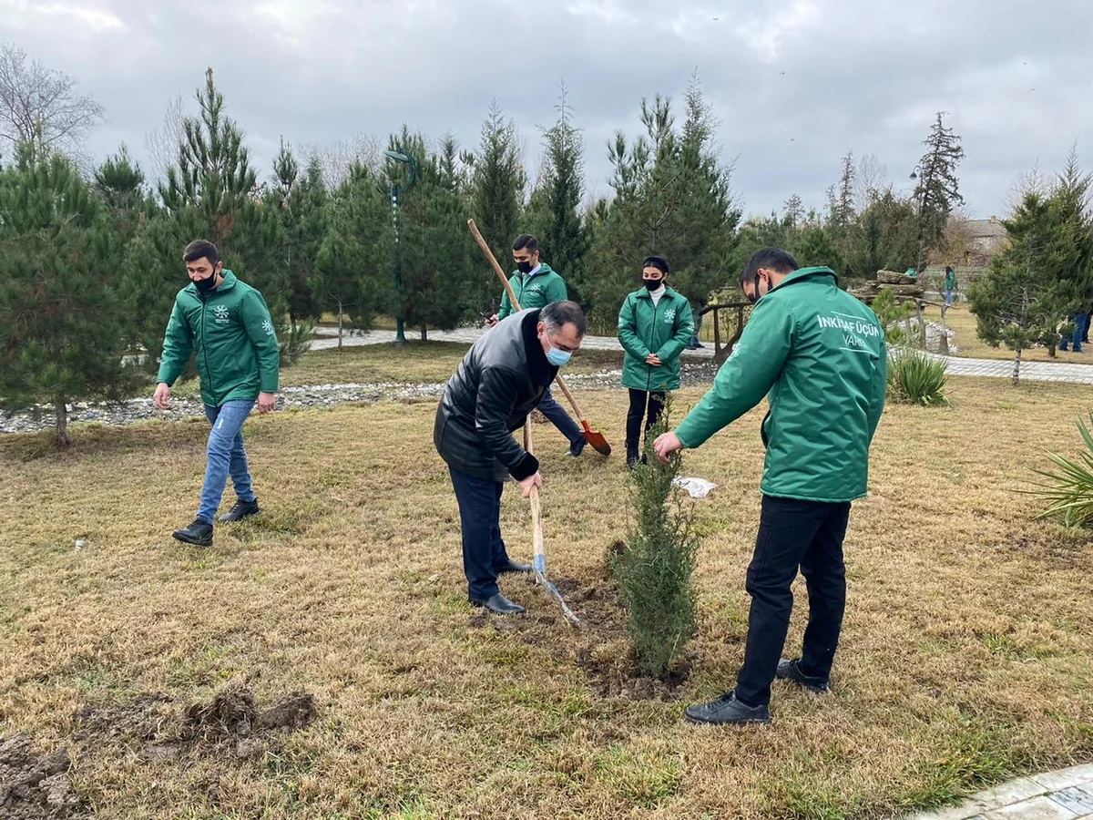 Kürdəmirdə şəhidlərin şərəfinə şam ağacları əkilib