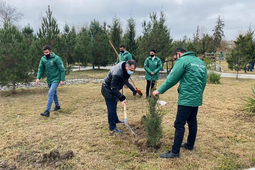 Kürdəmirdə şəhidlərin şərəfinə şam ağacları əkilib