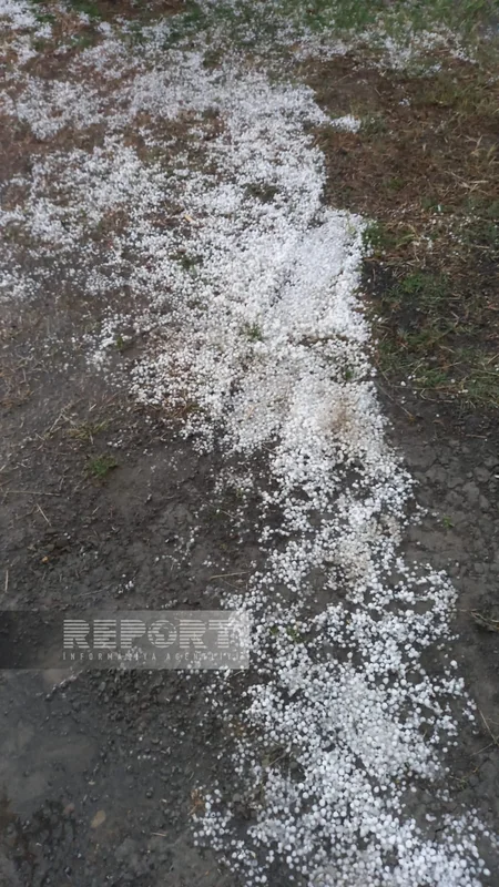 Град в Шеки вызвал ряд последствий