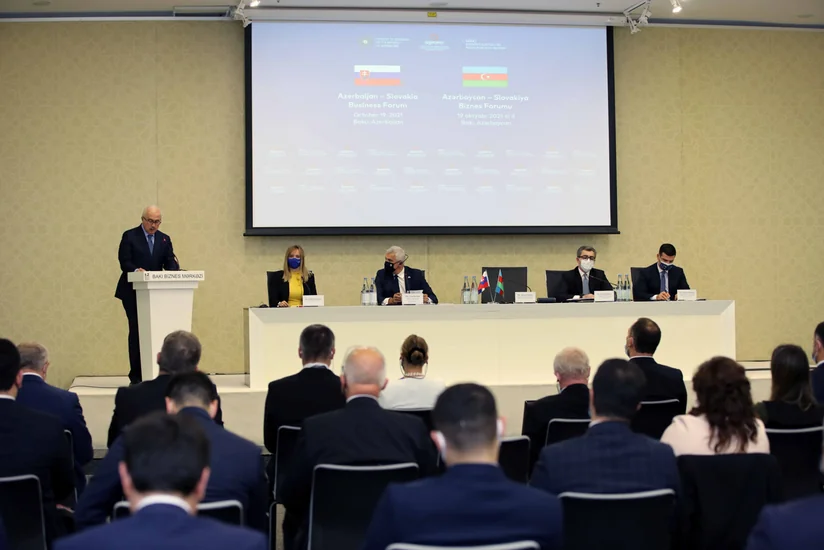 Slovakiya şirkətlərinin Azərbaycanda investisiya yatırmaq istədikləri sahələr açıqlanıb