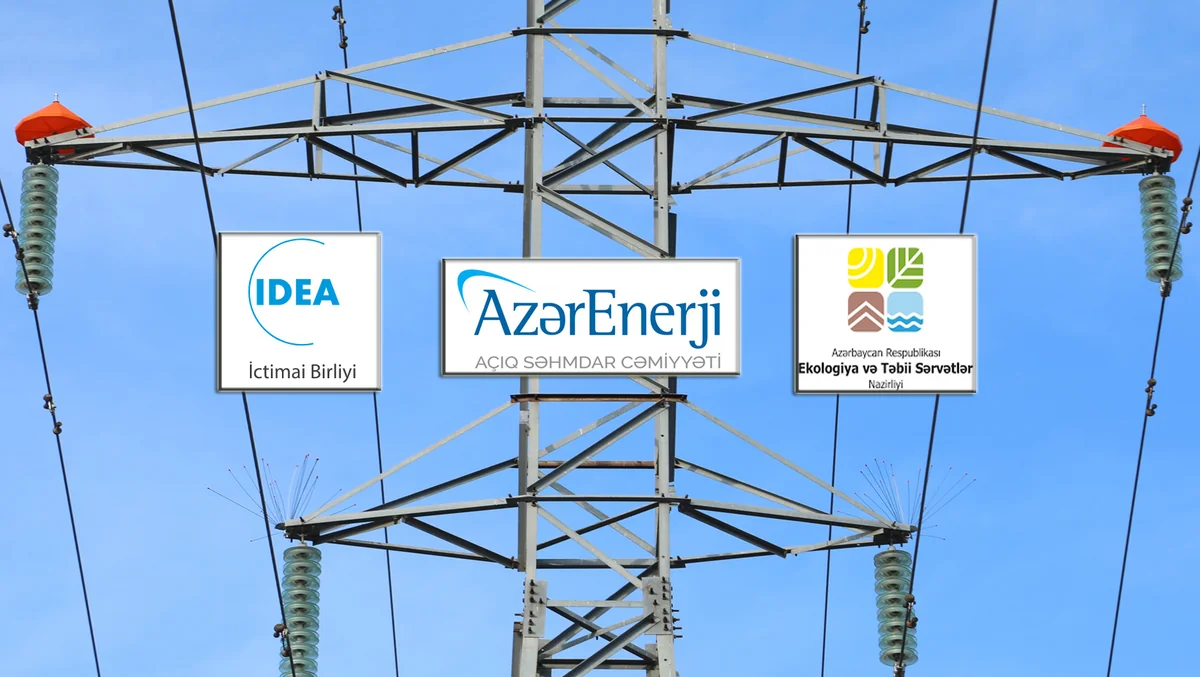 Азерэнержи устанавливает устройства для защиты птиц от гибели