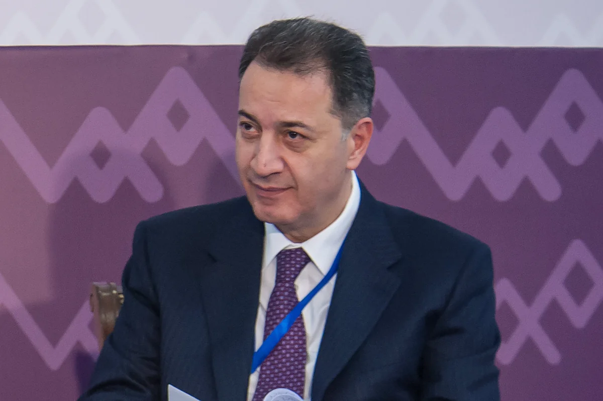 Ex-minister talks on economic prospects in Armenia