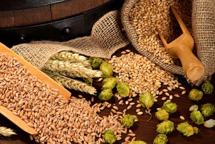 Азербайджан возобновил закупки солода из Беларуси
