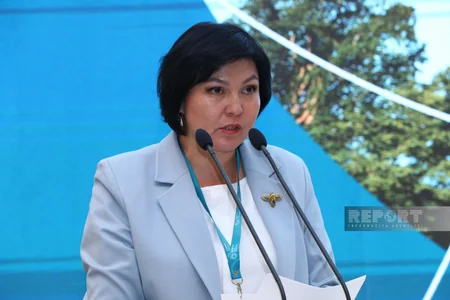 Bakıda COP29 Sədrliyinin təşəbbüsü ilə İqlim Şəffaflığı üzrə Yüksək Səviyyəli Dialoq keçirilib
