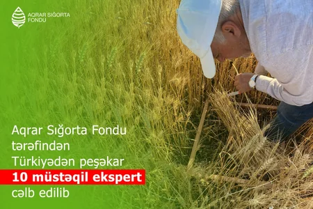 Aqrar Sığorta Fondu Türkiyədən peşəkar 10 müstəqil ekspert cəlb edib