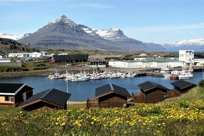 Iceland to erect memorial to first black settler