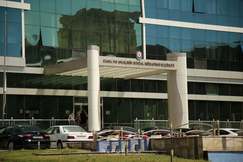 Sosial dəstəklə əhatə olunan şəhid ailələri və müharibə iştirakçılarının sayı açıqlanıb