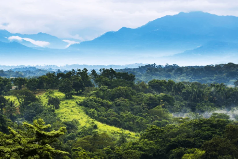 Azerbaijan to submit Zagatala-Balakan Biosphere Reserve to UNESCO